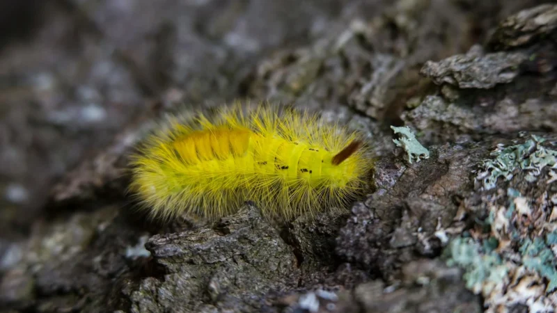 Cara Memulai Bisnis Rumahan