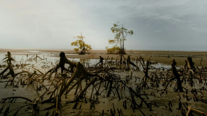 Penghasilan Tambahan Dari Rumah